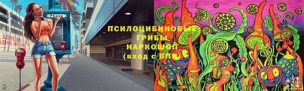 ешки Дмитров